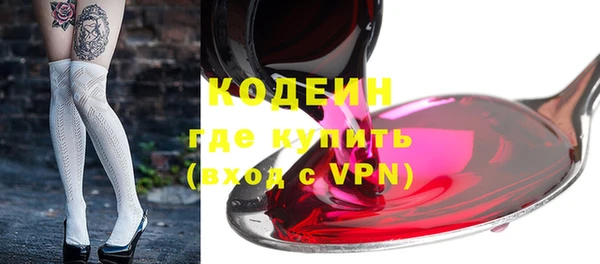 соль ск Дмитриев