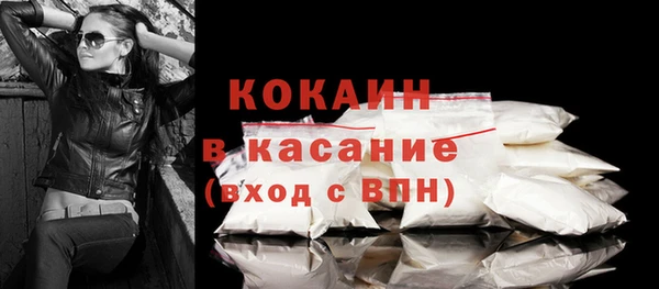соль ск Дмитриев