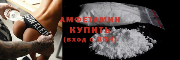 соль ск Дмитриев