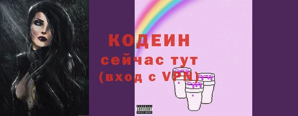 соль ск Дмитриев