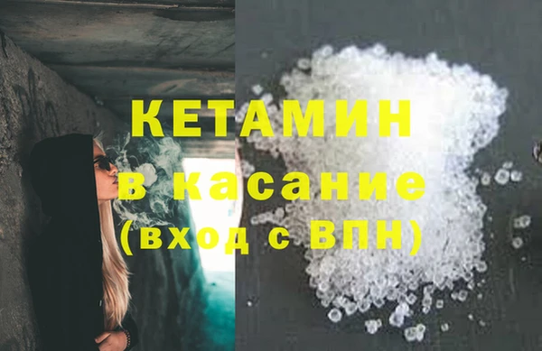 соль ск Дмитриев